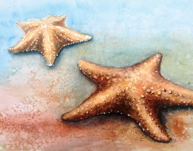 Caryn Dahm Starfish, Oviedo watercolor artist