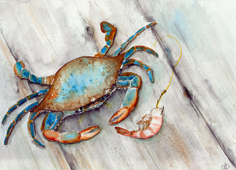 Caryn Dahm, Blue Crab watercolor art