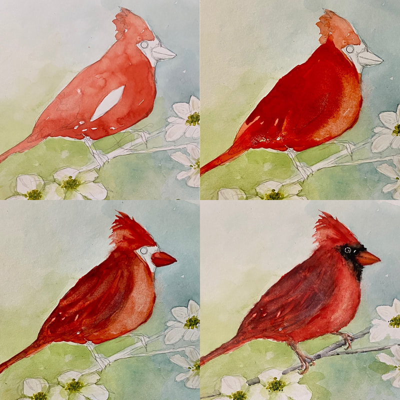 Cardinal Watercolor Tutorial