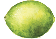 lime watercolor art