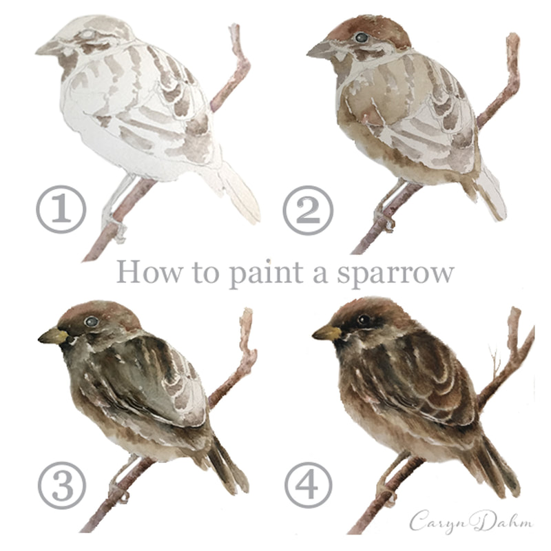How to paint a sparrow bird watercolor tutorial