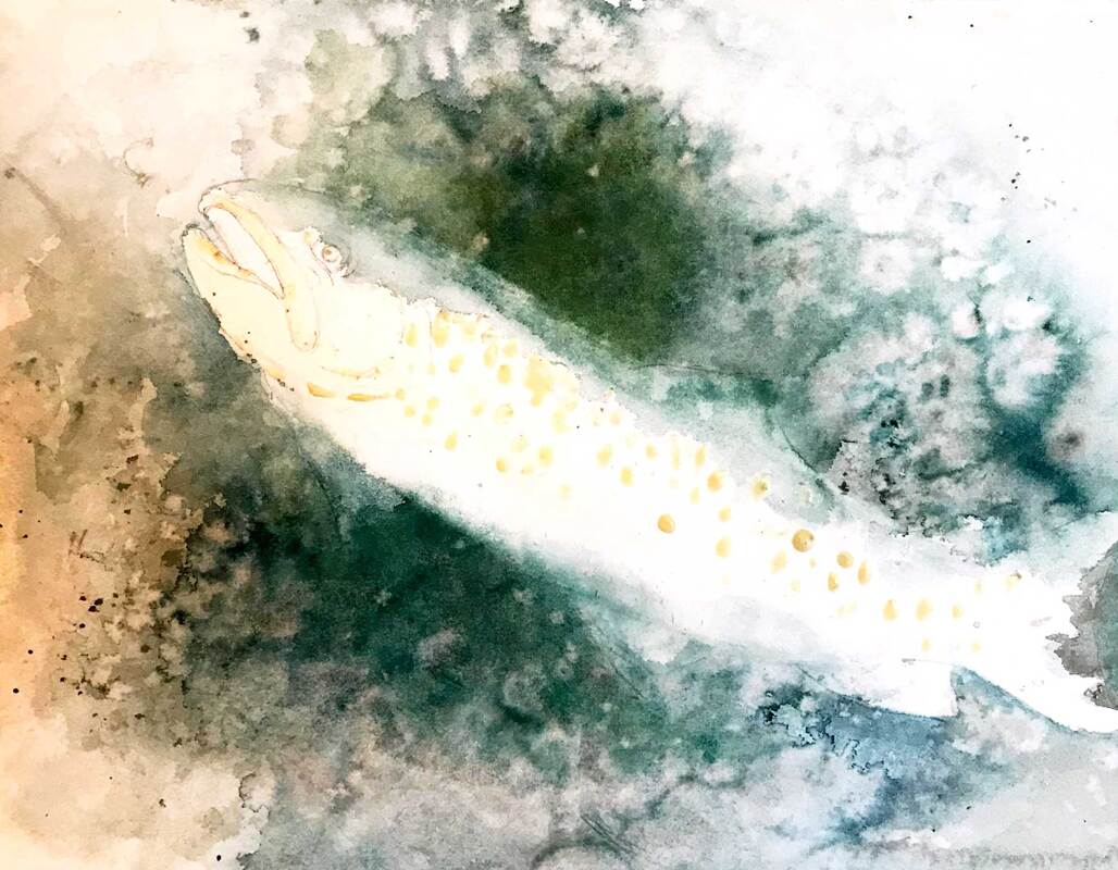 painting a trout
