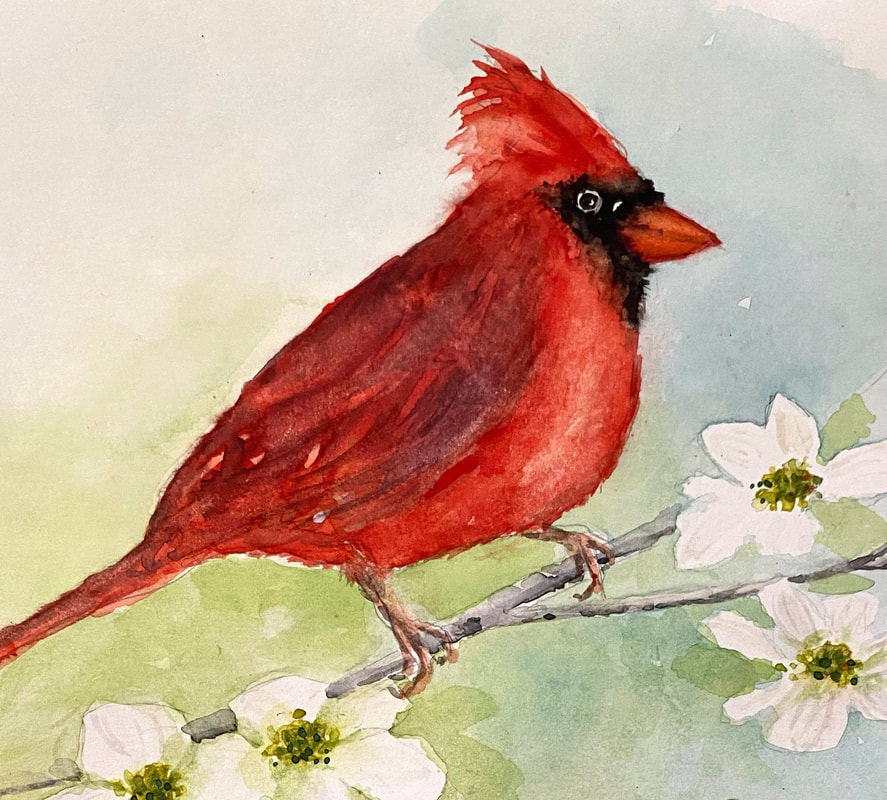 Cardinal Watercolor on Cherry Blossom